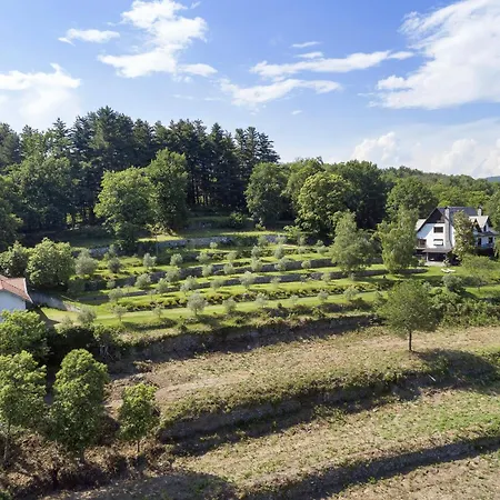 Tudor - Beautiful Large Amidst Lush Nature!